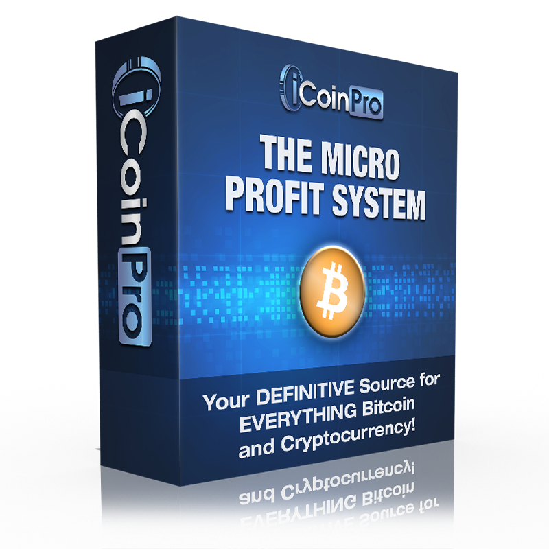 The Micro Profit System